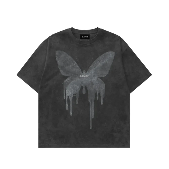 volare cum alis - Image 3